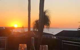 Coastal Palms Maraetai Beach Auckland Nz
